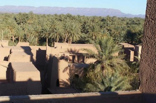 a view of a desert with palm trees and buildings at Kasbah Ziwana - Guesthouse in Zagora