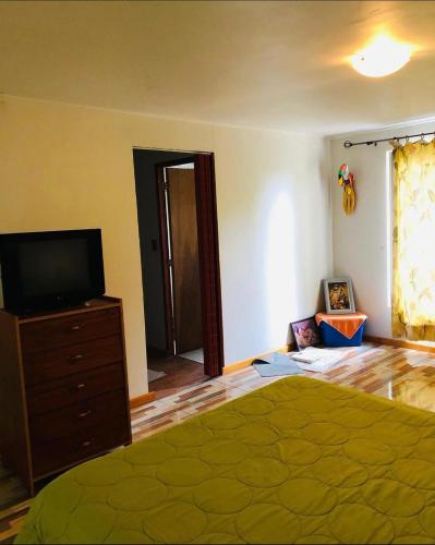 a bedroom with a bed and a television on a dresser at Alma Verde in Tinguiririca