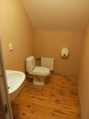 ein Badezimmer mit weißer Toilette und Waschbecken in der Unterkunft Pinka in Ēdole