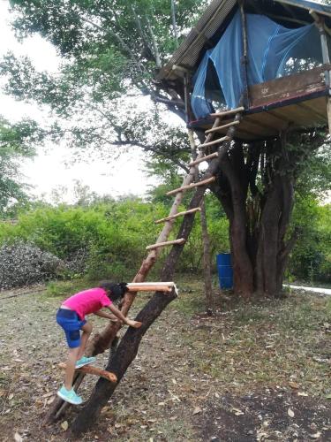 a girl is climbing up a tree house at Sorabora like view camps in Mahiyangana