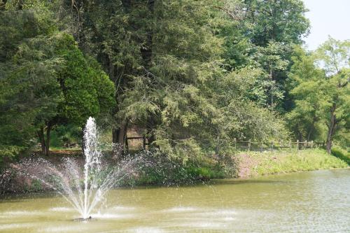 una fuente en medio de un estanque en Hidden Valley Estate, en Harrisburg