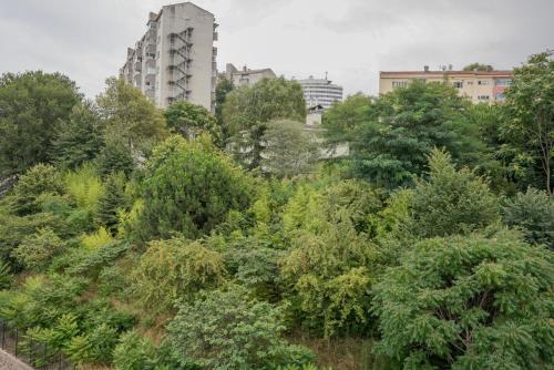 a forest of trees with a building in the background at The MU City Hotel Trabzon in Trabzon