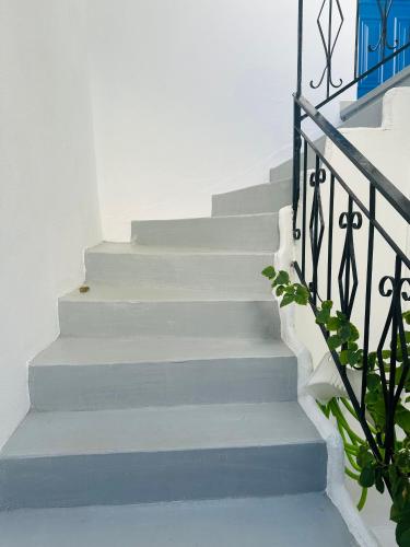 Fotografie z fotogalerie ubytování XENIOS APARTMENTS v destinaci Poros
