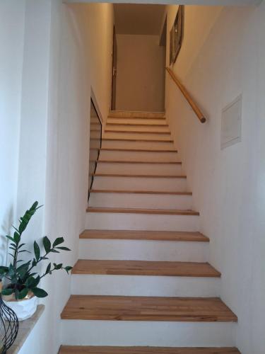 Gallery image of Apartments Nina M in Baška Voda