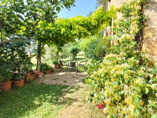 a garden with a table and a bunch of plants at Casa Ollie in Castel San Gimignano