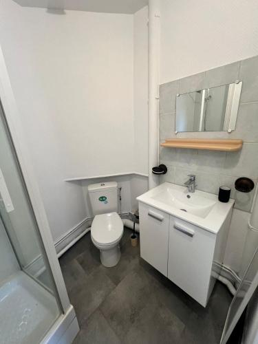 a bathroom with a white toilet and a sink at Studio du centre - L'Artdu'Net - in Charleville-Mézières