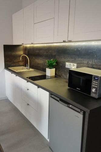 Η κουζίνα ή μικρή κουζίνα στο TK Apartments Namysłów