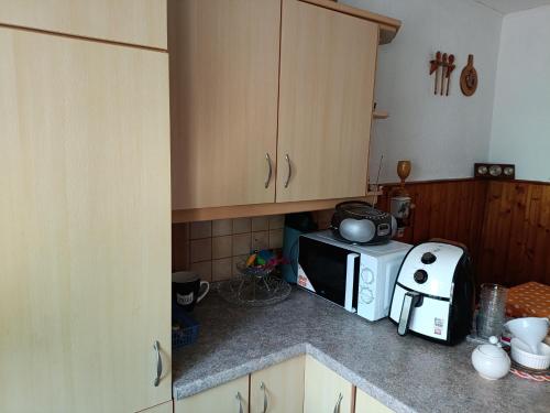 a kitchen with a microwave and a toaster on a counter at Silberranch Niederlichtenau in Lichtenau