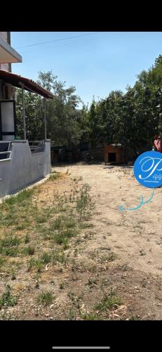 a blue frisbee is flying in the air at Borsh Selavi Guest House in Borsh