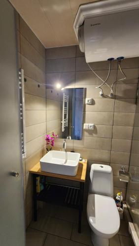un bagno con lavandino, WC e specchio di Ski In Ski Out Tiamo apartment 402 at Gudauri Loft Hotel a Gudauri