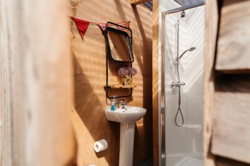 a bathroom with a sink and a mirror at Cefn Crib Safari Tent in Machynlleth