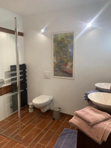 un baño con inodoro y lavabo en Villa la quietude, en Saint-Cézaire-sur-Siagne