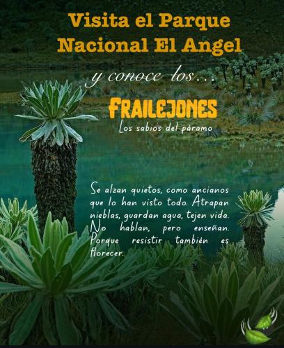 a poster with a picture of a pineapple national el anger at Spacious Rustic Villa - San Isidro, Carchi 