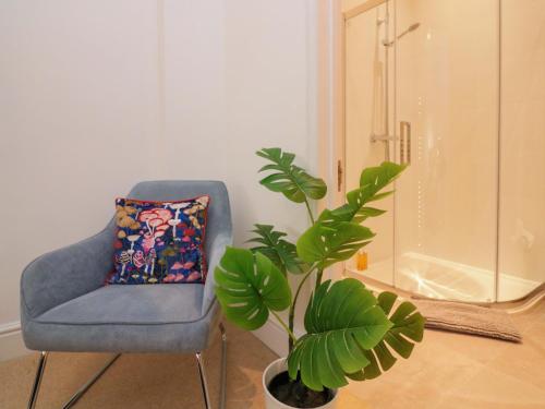 einen blauen Stuhl und eine Pflanze in einem Zimmer in der Unterkunft 2 The Old School House in Dartmouth