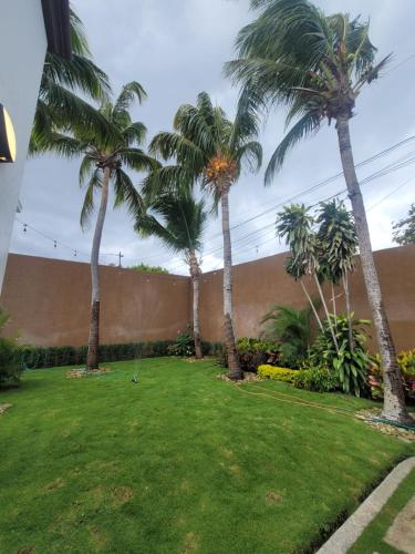 three palm trees in a yard next to a wall at Lakefront Paradise Retreat, Private Pool Vacation Home in Rivas, between Ometepe, Tola and San Juan del Sur in San Jorge