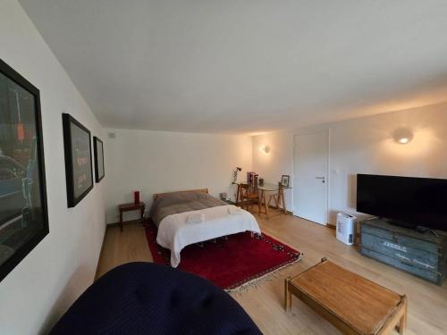a living room with a bed and a flat screen tv at Maison d'architecte, calme et nature réunis in Les Genettes