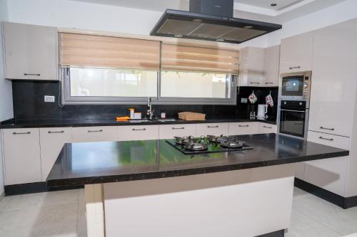 Η κουζίνα ή μικρή κουζίνα στο Villa Mondher