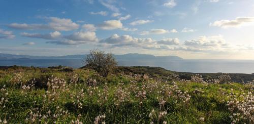 Φυσικό τοπίο κοντά σε αυτή η βίλα
