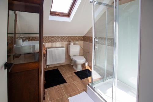 a bathroom with a toilet and a sink and a shower at Villa Vintage Room B 107 in Tomášikovo