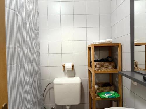 普里什蒂纳Artist's Apartment in Prishtina的白色的浴室设有卫生间和架子。