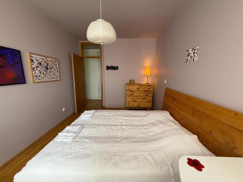 普里什蒂纳Artist's Apartment in Prishtina的房间里有一张白色大床的卧室