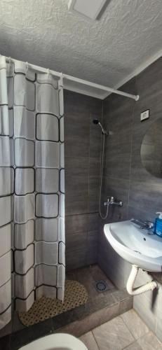 a bathroom with a sink and a shower and a toilet at Village House in Veruša