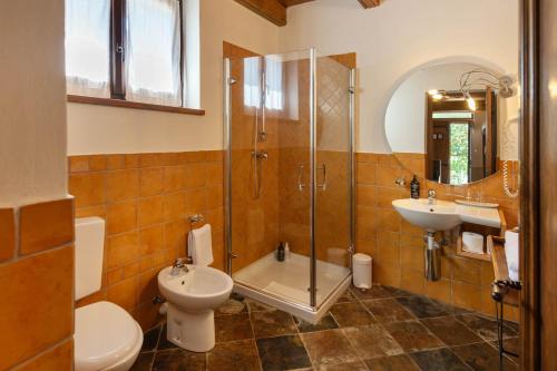 a bathroom with a toilet and a sink and a shower at Villa Tiboldi in Canale