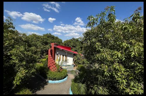 Zahrada ubytování Amraness Luxury Resort Sasan Gir