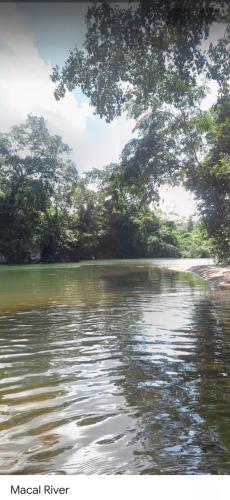 a body of water with trees in the background at Maxroomz in San Ignacio