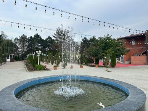 Zahrada ubytování Hotel Romantika