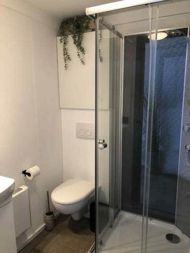 a bathroom with a toilet and a glass shower at Vesturás lodge in Hella