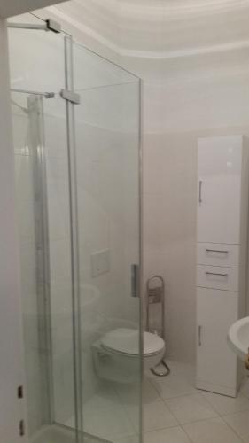 a bathroom with a toilet and a glass shower at Appartamento Rifredi in Florence