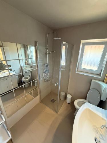 a bathroom with a shower and a toilet and a sink at Ferienwohnung Luftkurort-Alpenparadies in Grassau