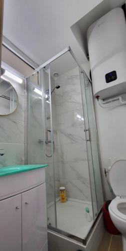 a bathroom with a shower and a toilet at Hameau des Essarts in Grand-Couronne