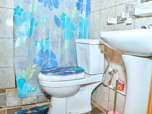 a bathroom with a toilet and a sink at Hopeland Apartments Limbe in Limbe