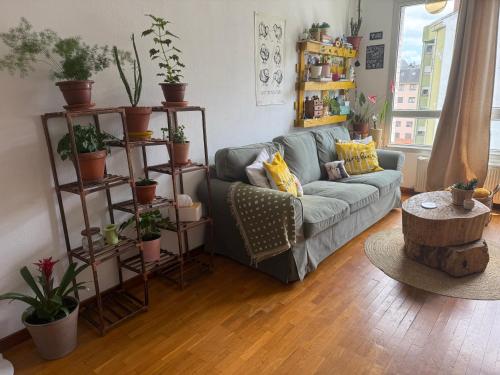 Dulce y sereno piso en Oviedo