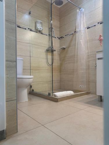 a bathroom with a shower and a toilet in it at Casa Flamingo in Kralendijk