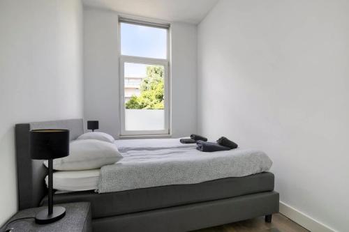 Foto Comfortabel Appartement 3