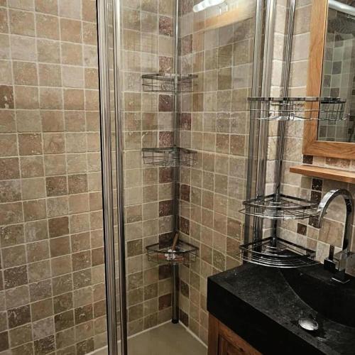 une salle de bain avec douche et lavabo dans l'établissement Résidence Aigue-marine - Studio pour 4 Personnes 41, à Mâcot La Plagne