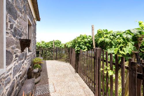 a wooden fence next to a yard with grapes at Casinha do Mar by GALMI in São Vicente