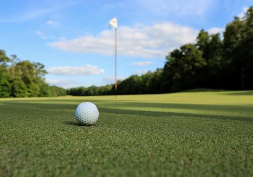 Kemudahan golf di apartmen atau berdekatan