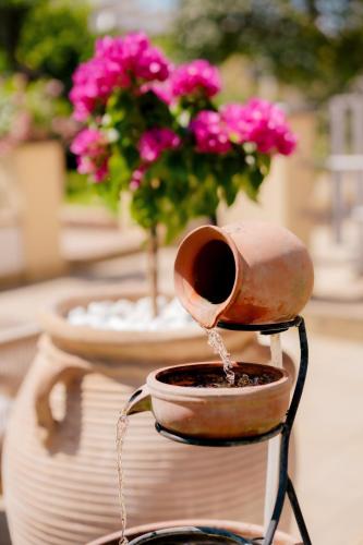 a pot with water coming out of it next to flowers at B&B PROCHYTEA in Procida