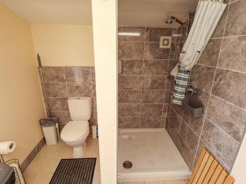 a bathroom with a toilet and a shower at Lancaster in Lincoln