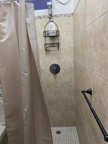 a shower with a shower curtain in a bathroom at Chic two bedroom city apartment in Roseau