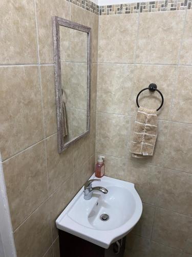 a bathroom with a sink and a mirror at Chic two bedroom city apartment in Roseau