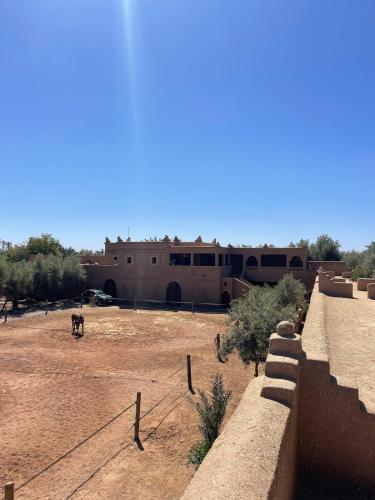 a camel standing in a field in front of a building at Skoura Ranch Palm Grove in Ouarzazate