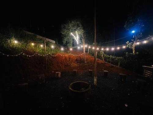 a group of lights on a fence at night at Bambus alley in Tariyod