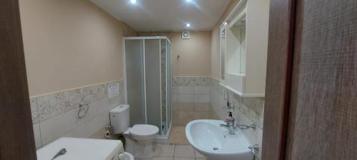 a bathroom with a toilet and a sink and a shower at Casa degli Ulivi in Belvedere