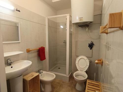 une salle de bain avec une douche, des toilettes et un lavabo dans l'établissement Résidence Plein Soleil - Joli studio sur les hauteurs de la station avec superbe vue - Parking MAE-0411, à Montgenèvre