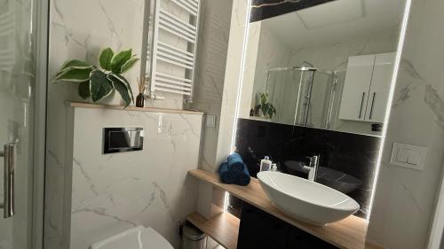 a bathroom with a sink and a toilet and a mirror at Apartament w Centrum Olsztyna, blisko Parków i Starego Miasta, 2 Pokoje z widokiem na zieleń - wczesne zameldowanie możliwe bezpłatnie in Olsztyn